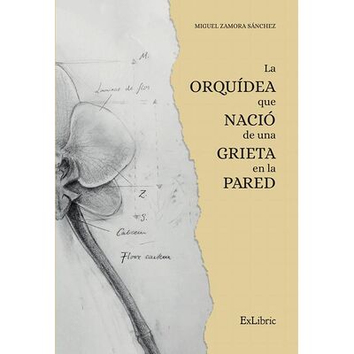 La orquídea que nació de...