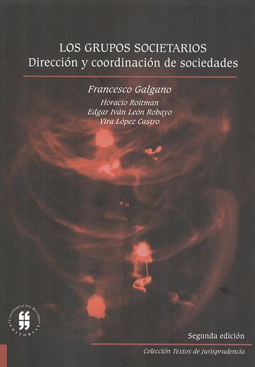Los grupos societarios....