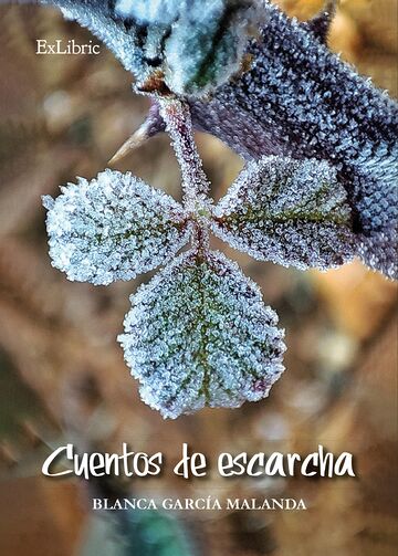 Cuentos de escarcha