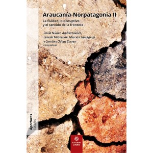 Araucanía-Norpatagonia II