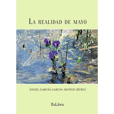 La realidad de mayo