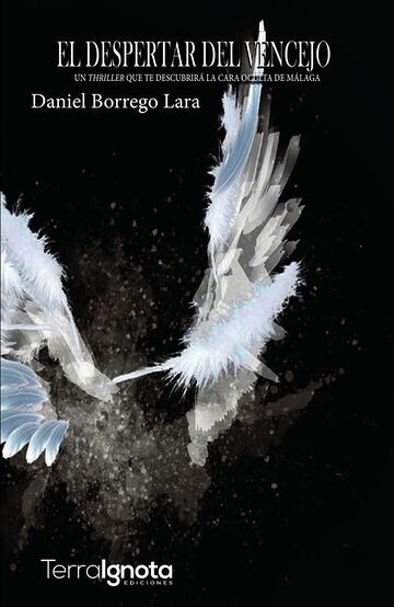 El despertar del vencejo