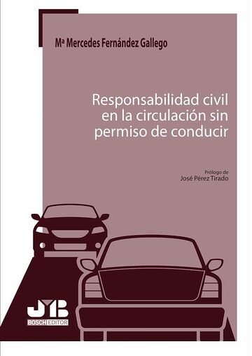 Responsabilidad civil en la...