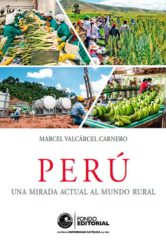 Perú: una mirada actual al...