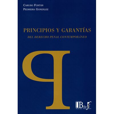 Principios y garantías del...