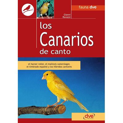 Los canarios de canto