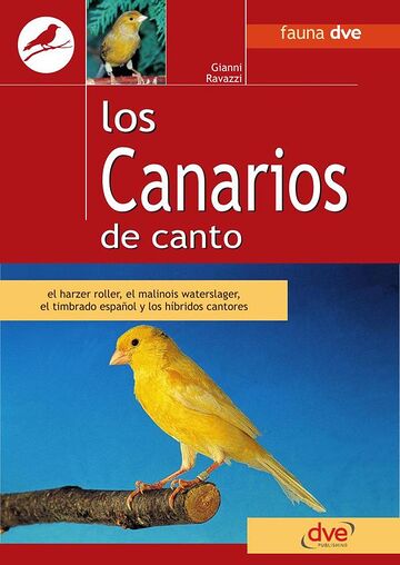 Los canarios de canto