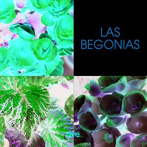 Las Begonias