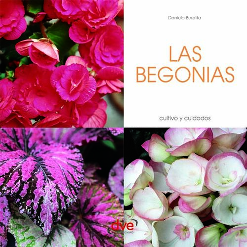 Las Begonias