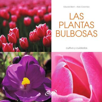 Las plantas bulbosas
