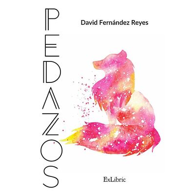 Pedazos