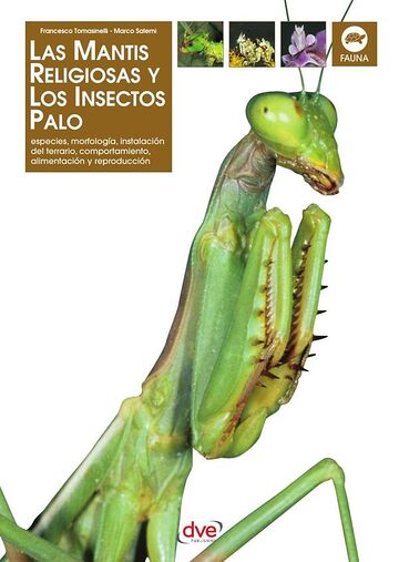Las Mantis religiosa y los...