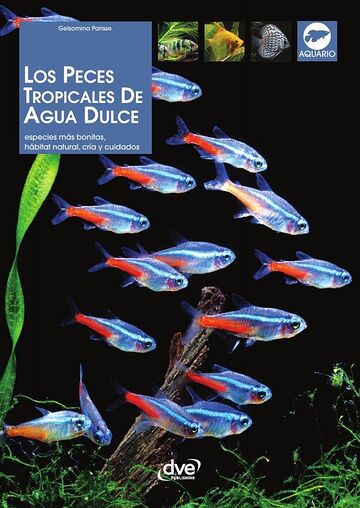 Los peces tropicales de...