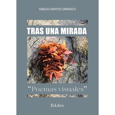 Tras una mirada. Poemas...