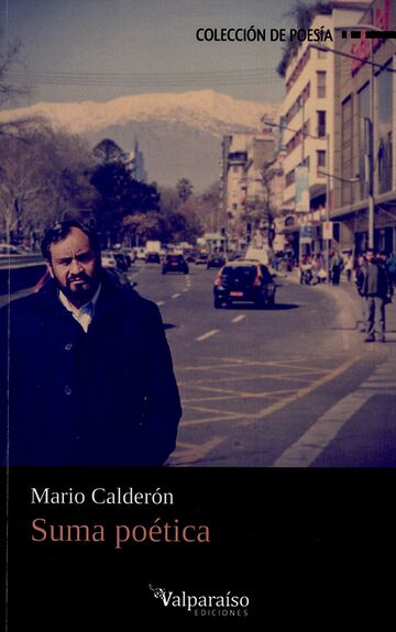 Suma poética (1976-2008)