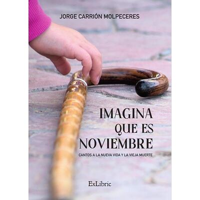Imagina que es noviembre