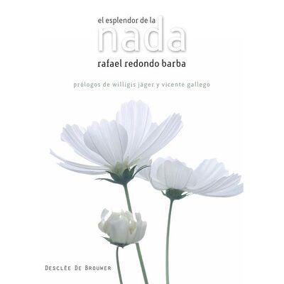 El esplendor de la nada