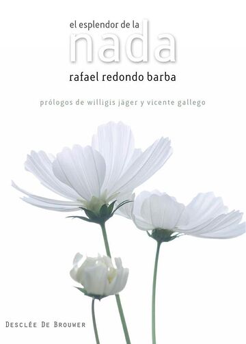 El esplendor de la nada