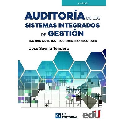 Auditoría de los sistemas...