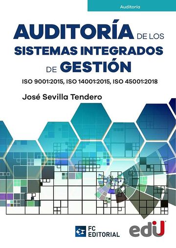 Auditoría de los sistemas...