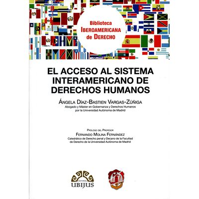 El acceso al Sistema...