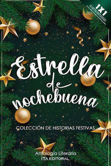 Estrella de nochebuena