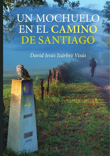 Un mochuelo en el camino de...