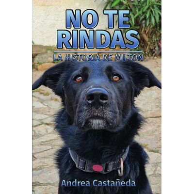 No te rindas