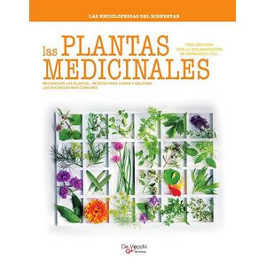 Las Plantas medicinales