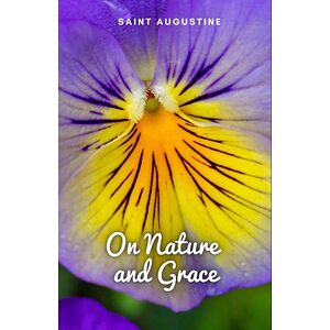 On Nature and Grace