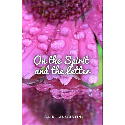 On the Spirit and the Letter