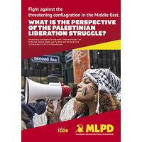 What is the perspective of...