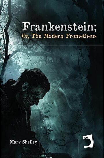 Frankenstein or, The modern...