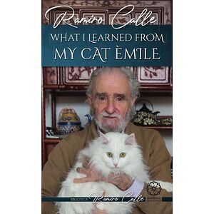 What I learned from my cat...
