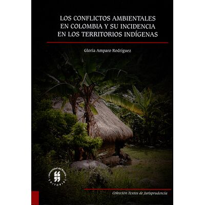 Los conflictos ambientales...