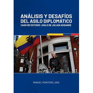 Análisis y desafíos del...