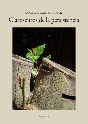 Claroscuros de la persistencia