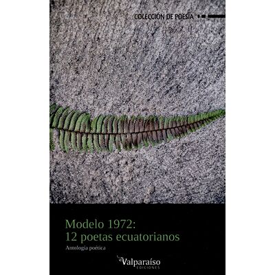 Modelo 1972: 12 poetas...