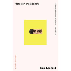 Notes on The Sonnets