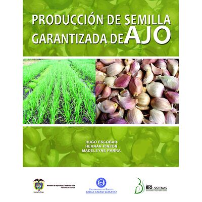 Producción de semilla...