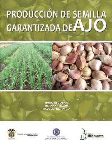 Producción de semilla...