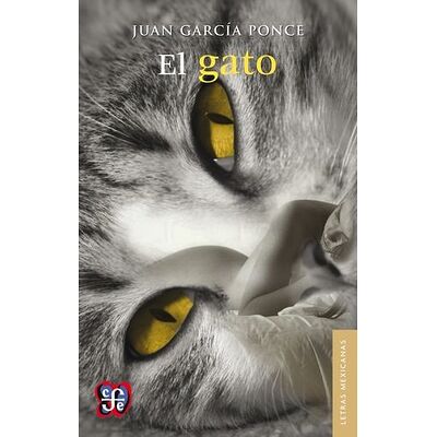 El gato