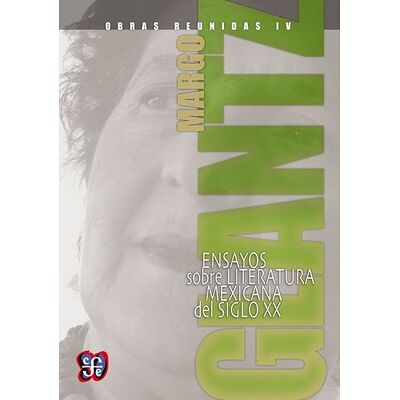 Obras reunidas IV. Ensayos...