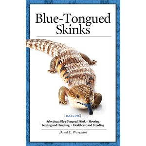 Blue-Tongued Skinks