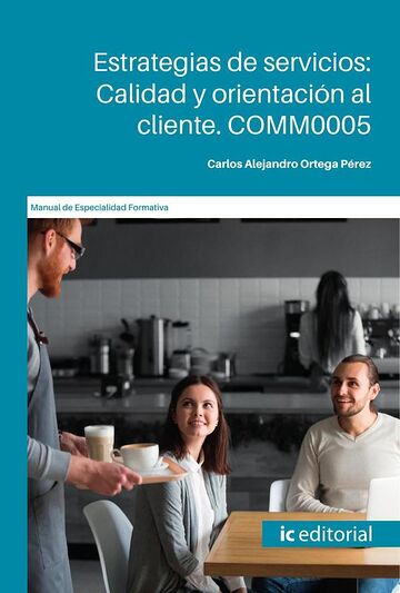 Estrategias de servicios:...