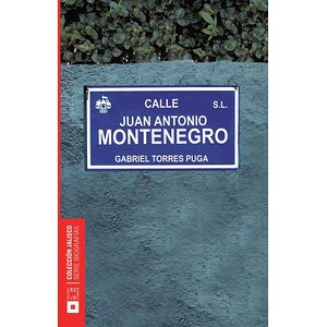 Juan Antonio Montenegro