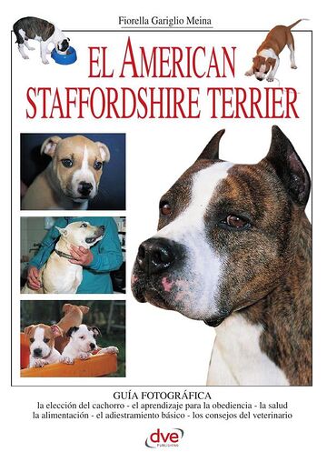 El american staffordshire...