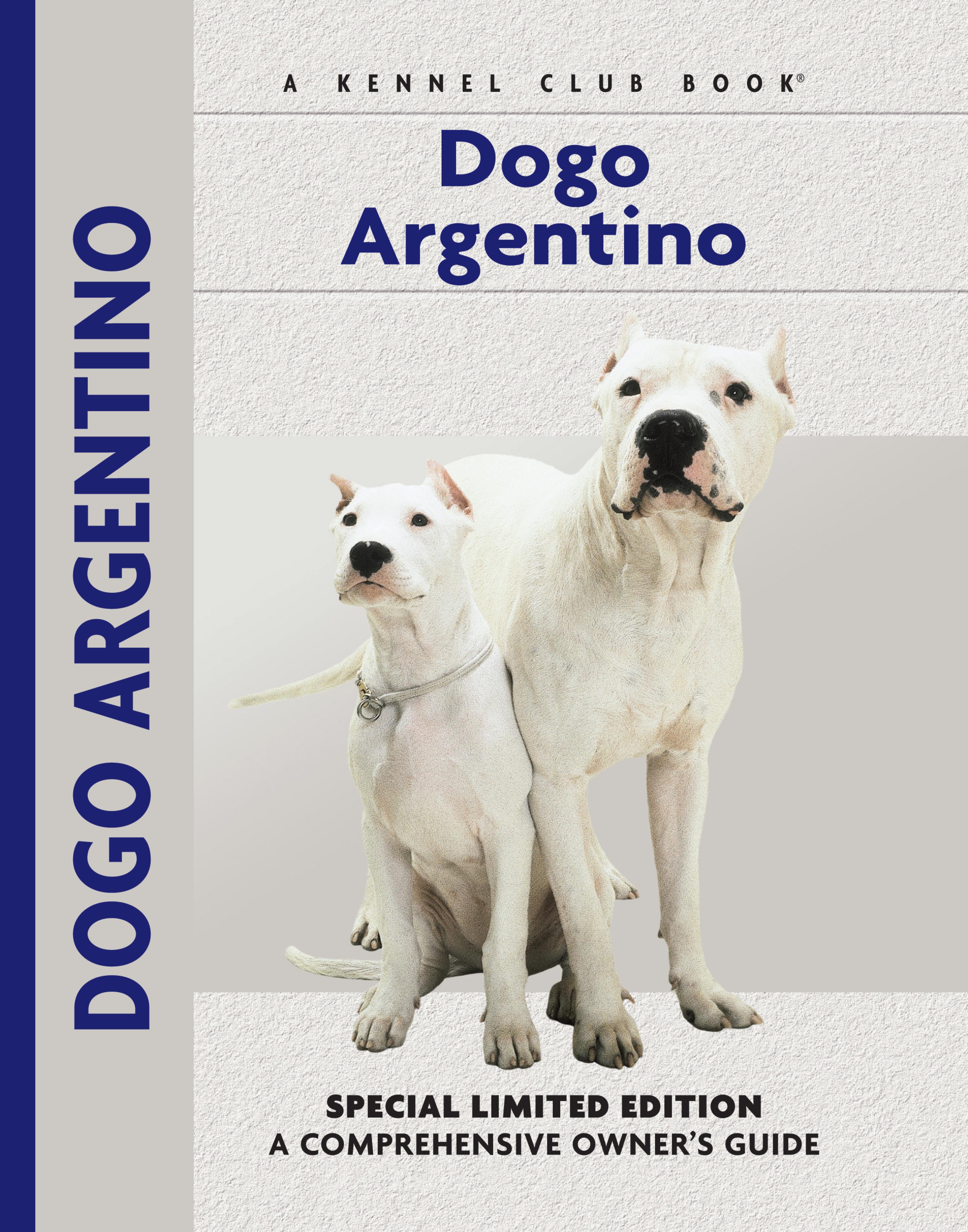 Dogo Argentino Hog Catch Dogs Dogo Argentino