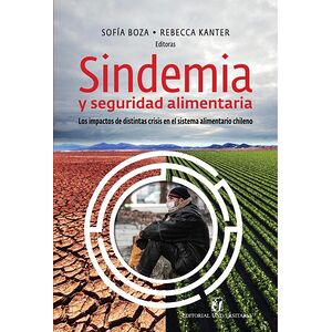 Sindemia y seguridad...