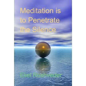 Meditation Is To Penetrate...